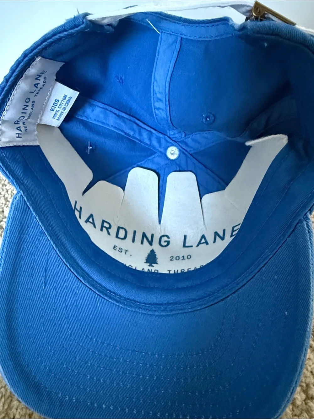 Harding Lane Kids Blue 